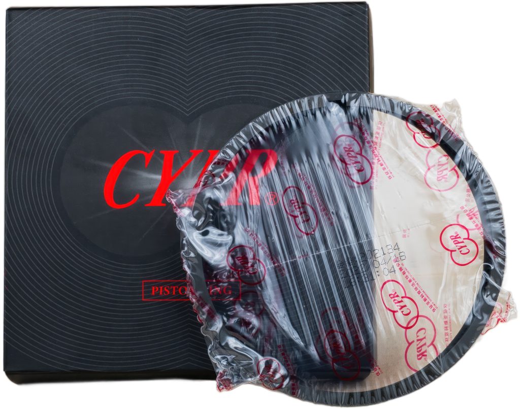 S1110 Piston Ring CYPR